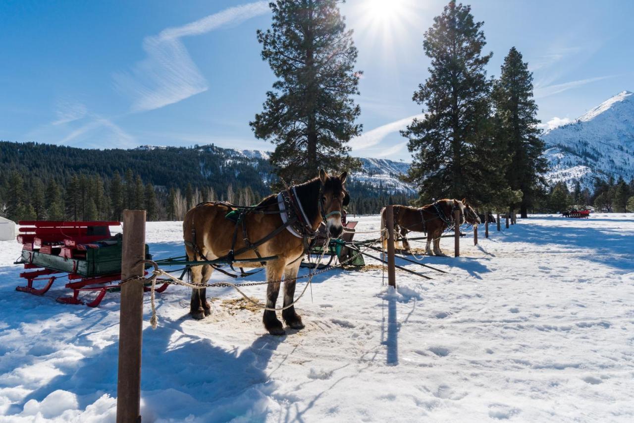 Icicle Road Haus Villa Leavenworth Ngoại thất bức ảnh